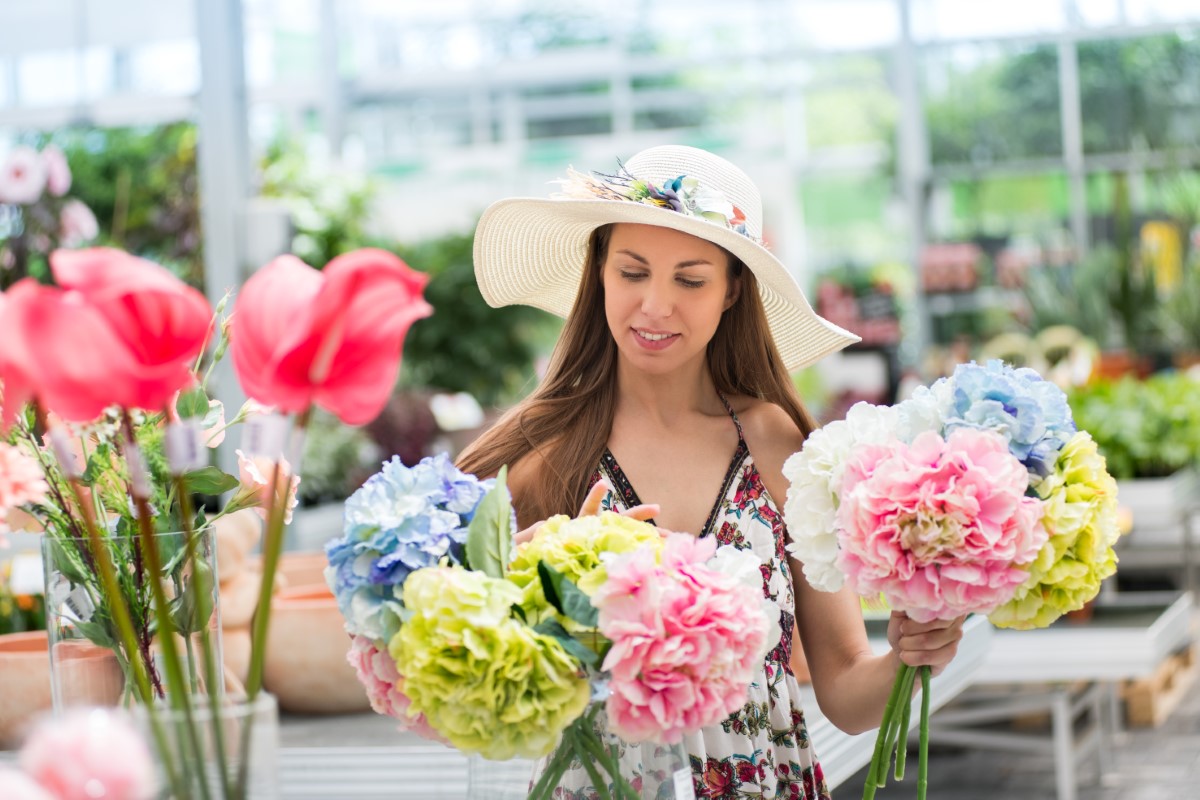 Réussir le bouturage de l’hortensia : le guide en 4 étapes pratiques