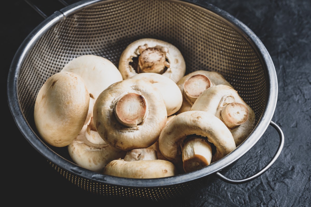 culture-artisanale-de-champignons-de-Paris