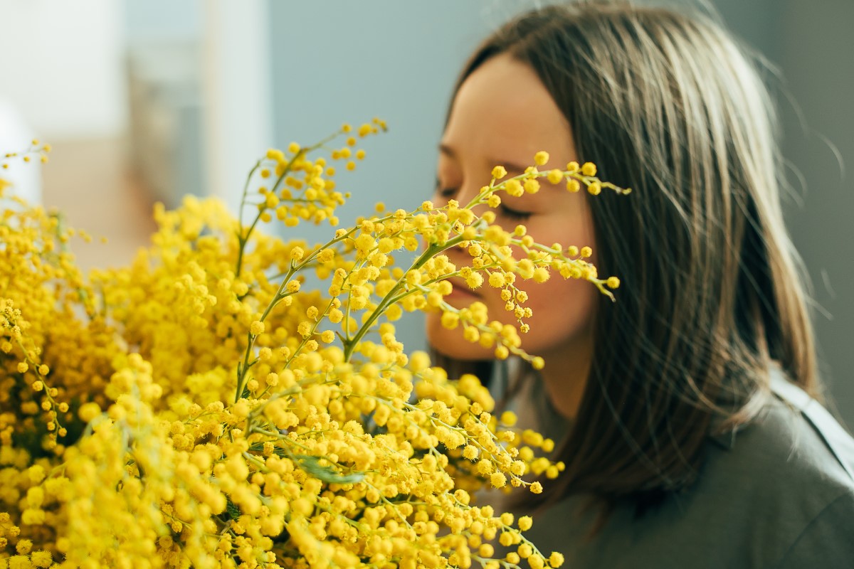 Choisir des variétés de fleurs jaunes pour une touche d’éclat dans votre jardin