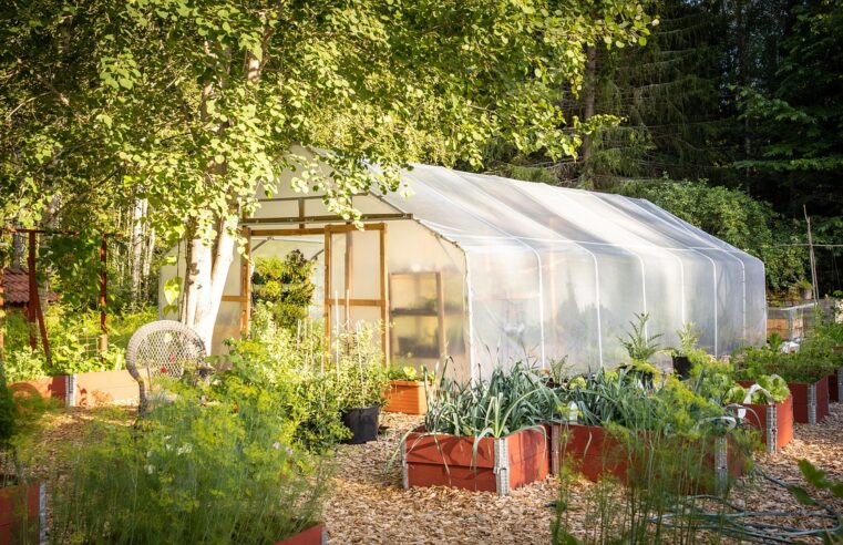 Comment choisir sa bache plastique pour serre de jardin