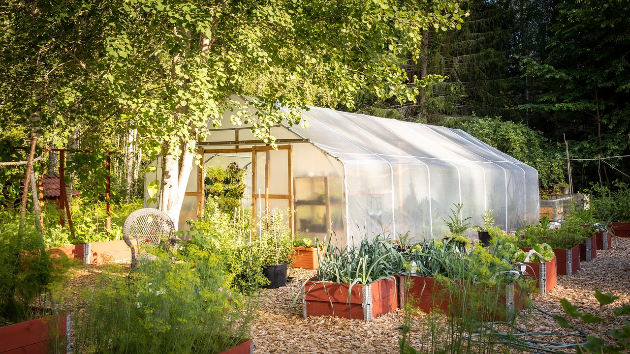 Comment choisir sa bache plastique pour serre de jardin